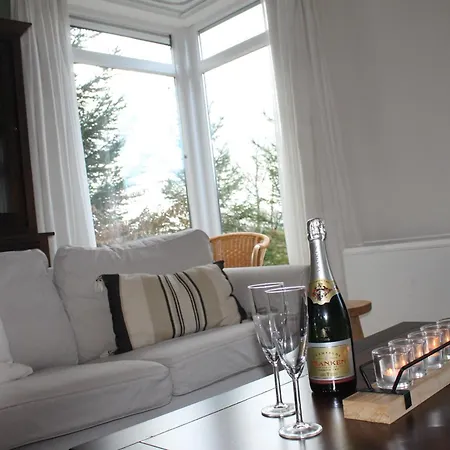 Elsa * דורבורי